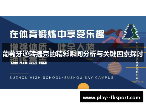 葡萄牙逆转捷克的精彩瞬间分析与关键因素探讨