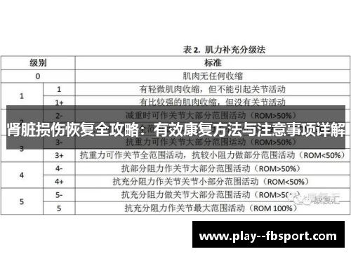 肾脏损伤恢复全攻略:有效康复方法与注意事项详解 肾脏损伤恢复全攻略:有效康复方法与注意事项详解