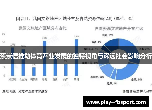 蔡崇信推动体育产业发展的独特视角与深远社会影响分析