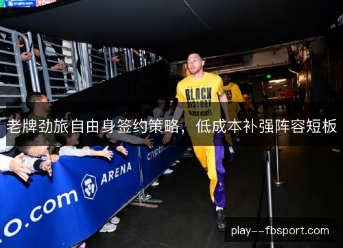 老牌劲旅自由身签约策略,低成本补强阵容短板 老牌劲旅自由身签约策略,低成本补强阵容短板